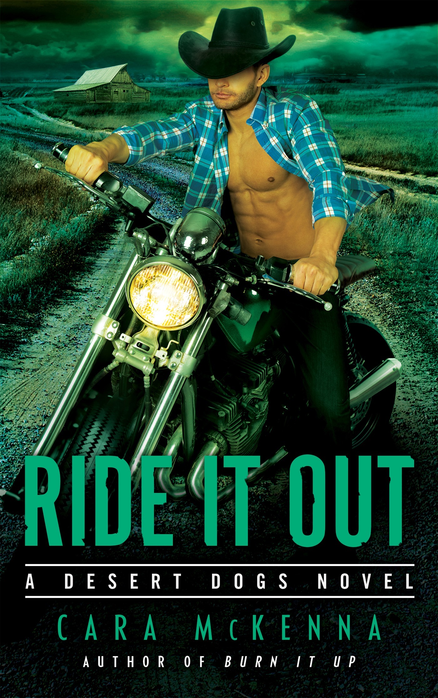 Ride It Out book cover