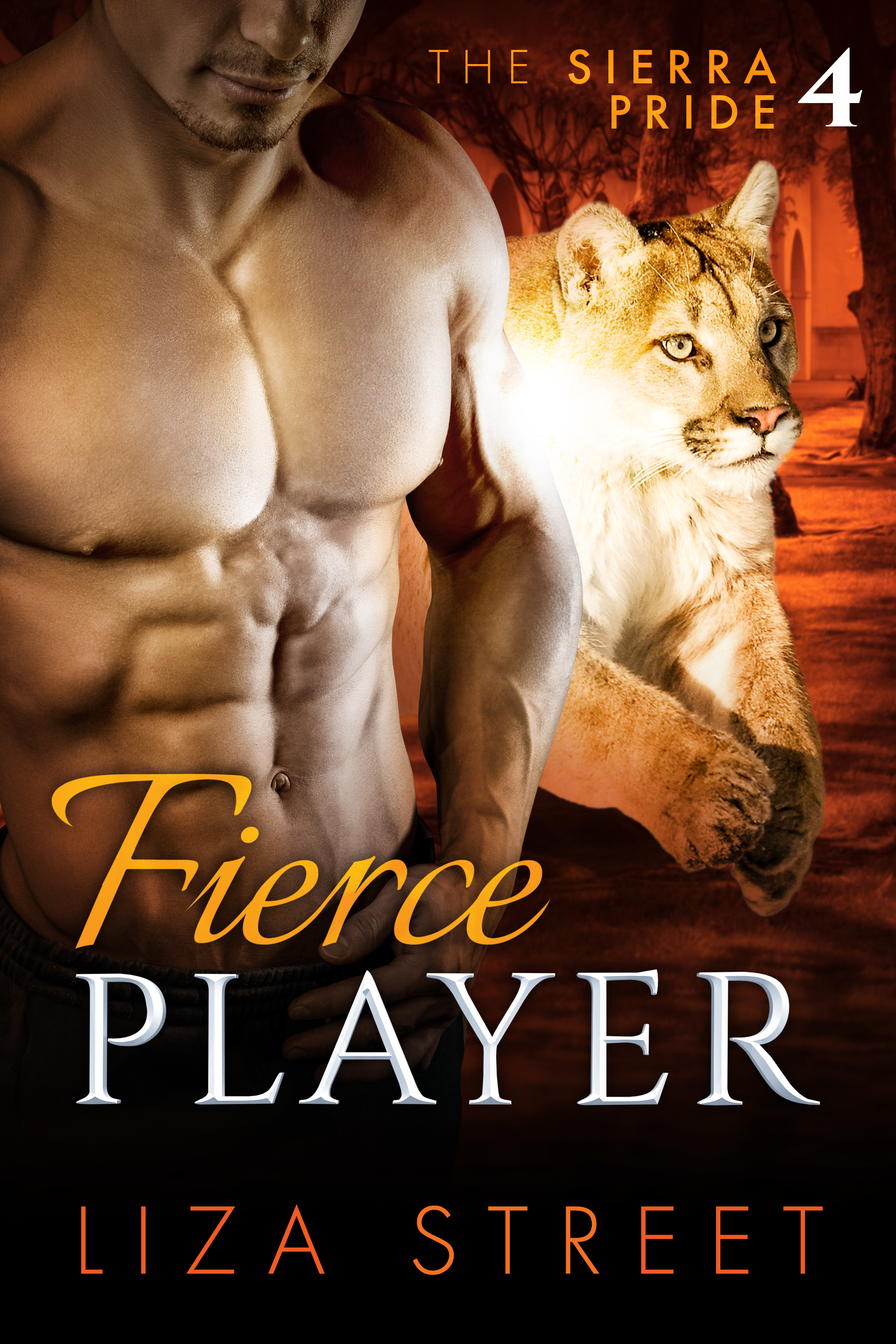 Fierce Player book cover