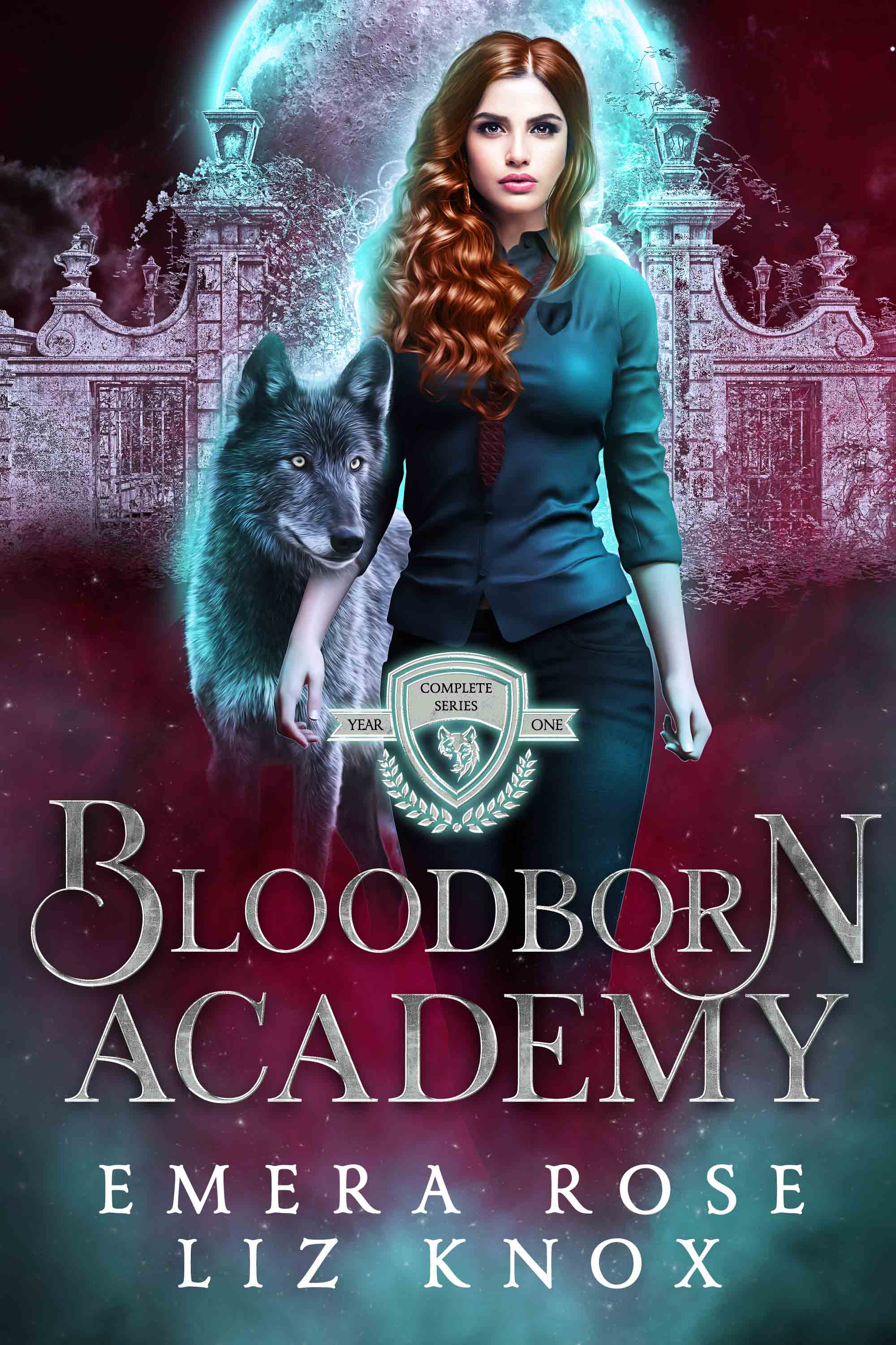 Bloodborn Academy book cover