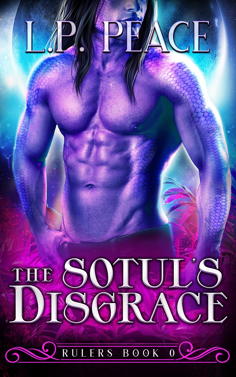 The Sotul's Disgrace book cover