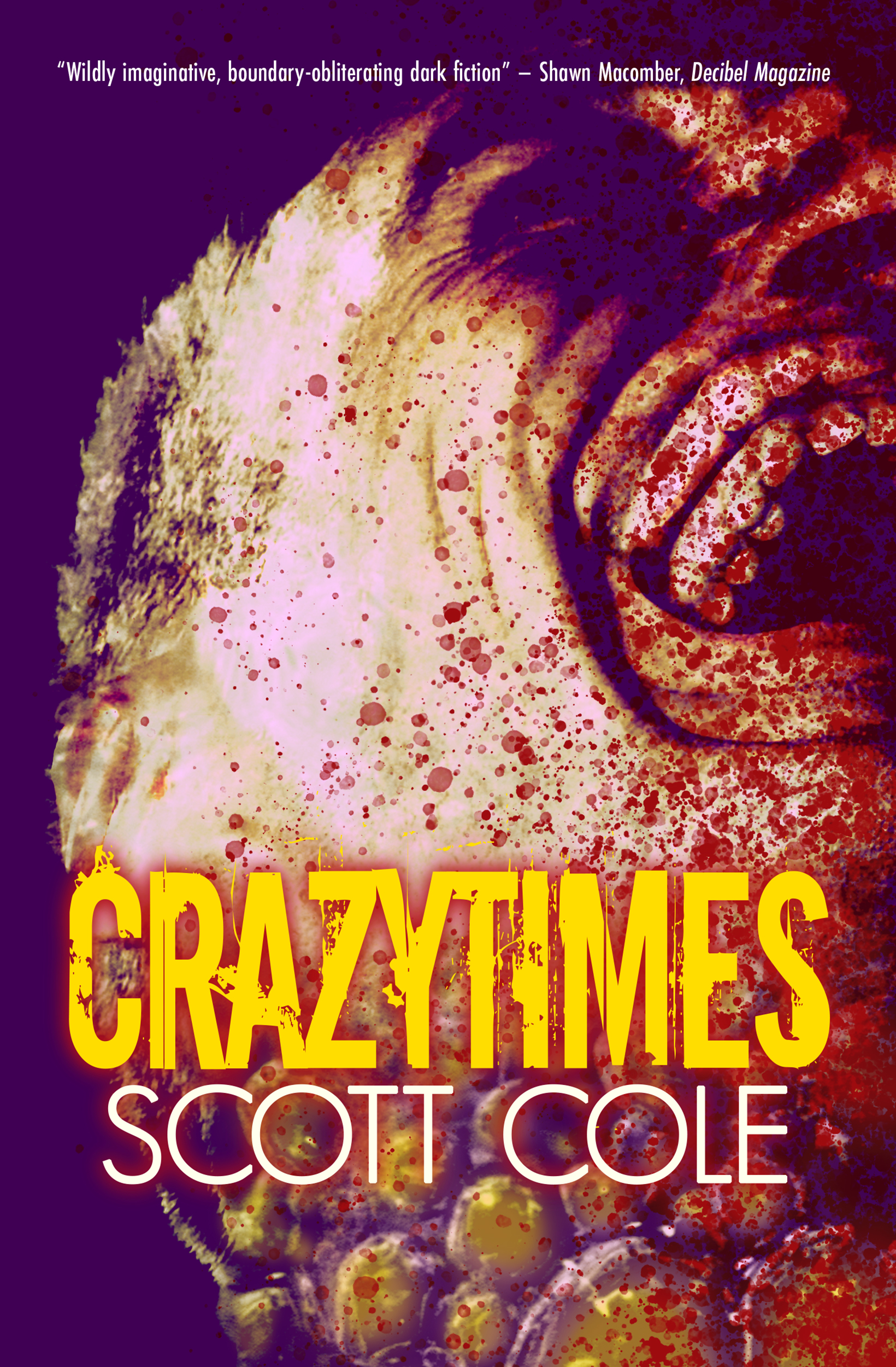 Crazytimes book cover