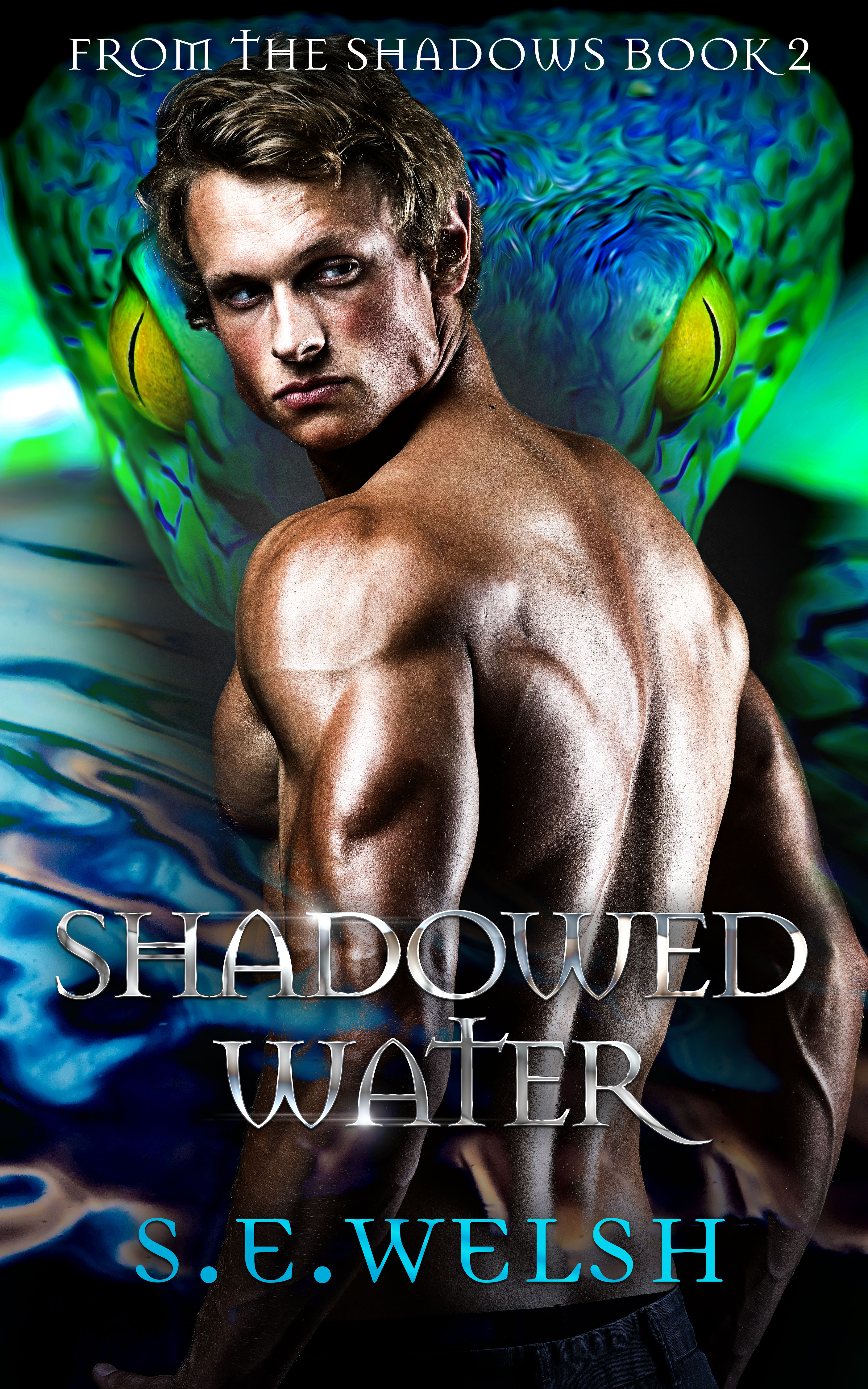 Shadowed Water book cover