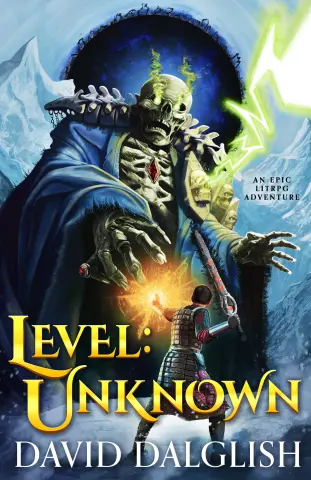 Level book cover