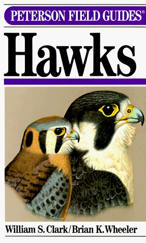 A Field Guide to Hawks book cover