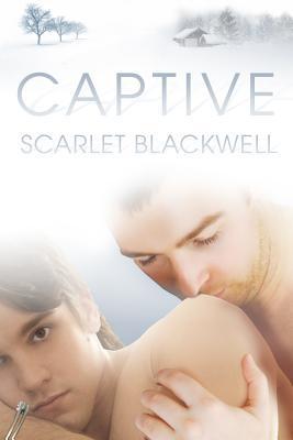 Captive book cover