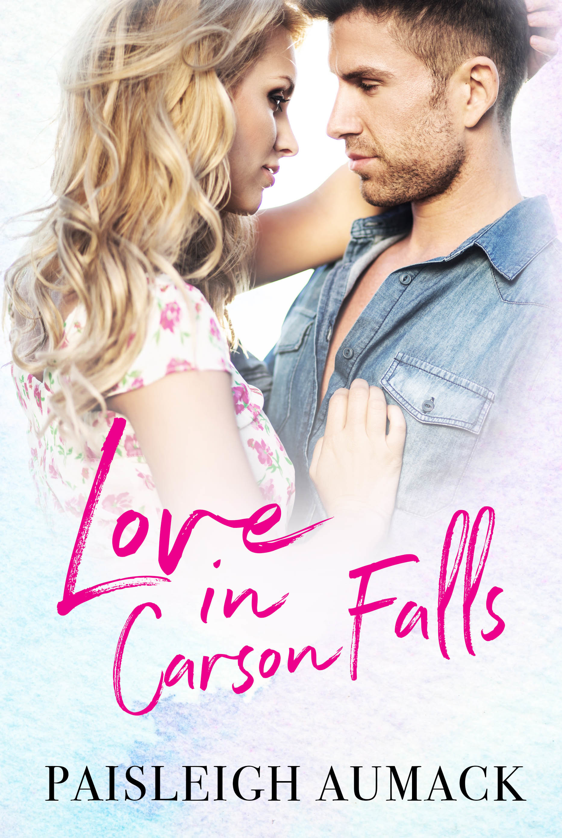 Love in Carson Falls book cover