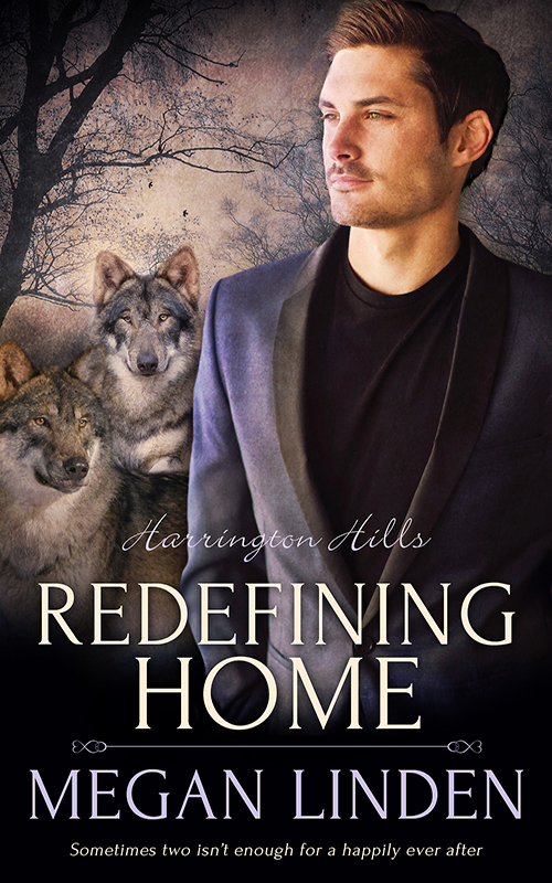 Redefining Home book cover