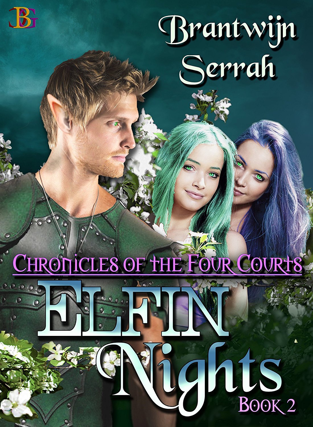 The Chronicles of the Four Courts book cover 2