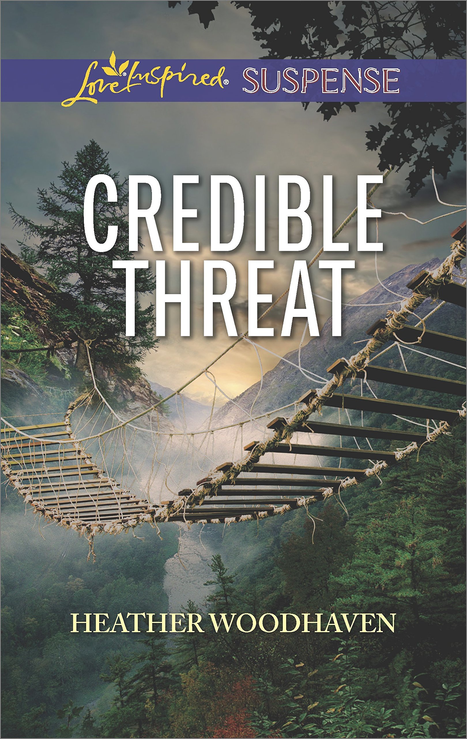 Credible Threat book cover