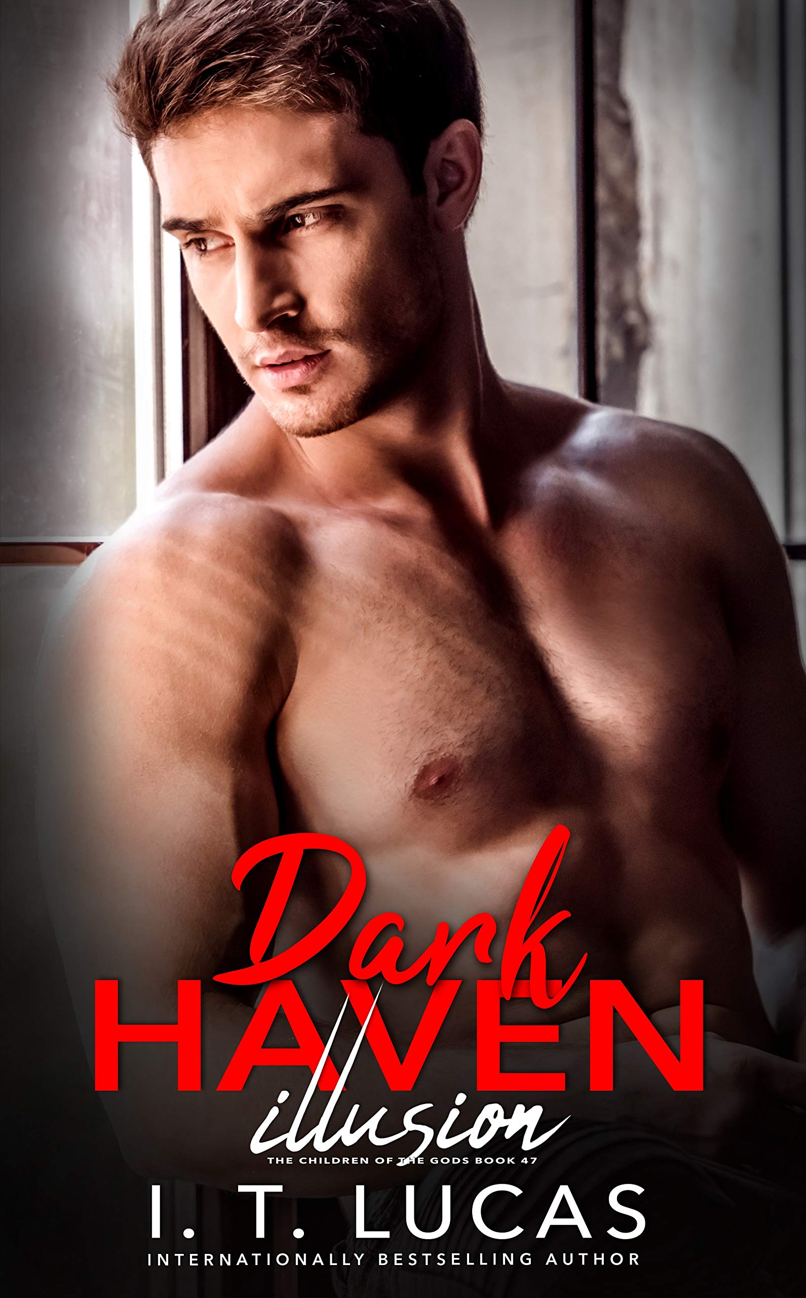 Dark Haven Illusion book cover