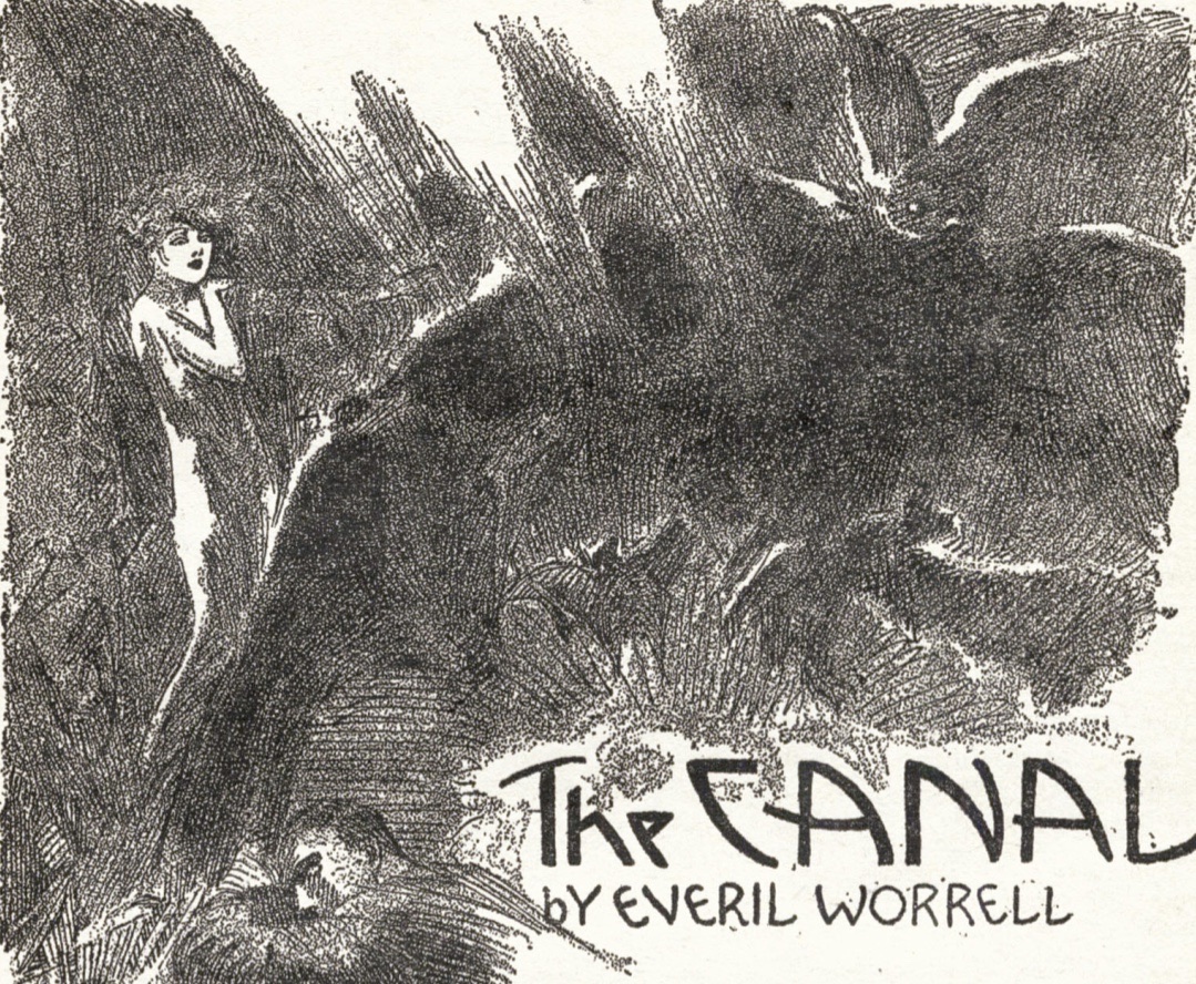 The Canal book cover