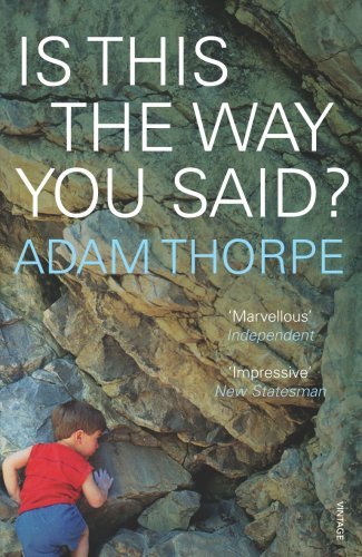 Is This The Way You Said? book cover