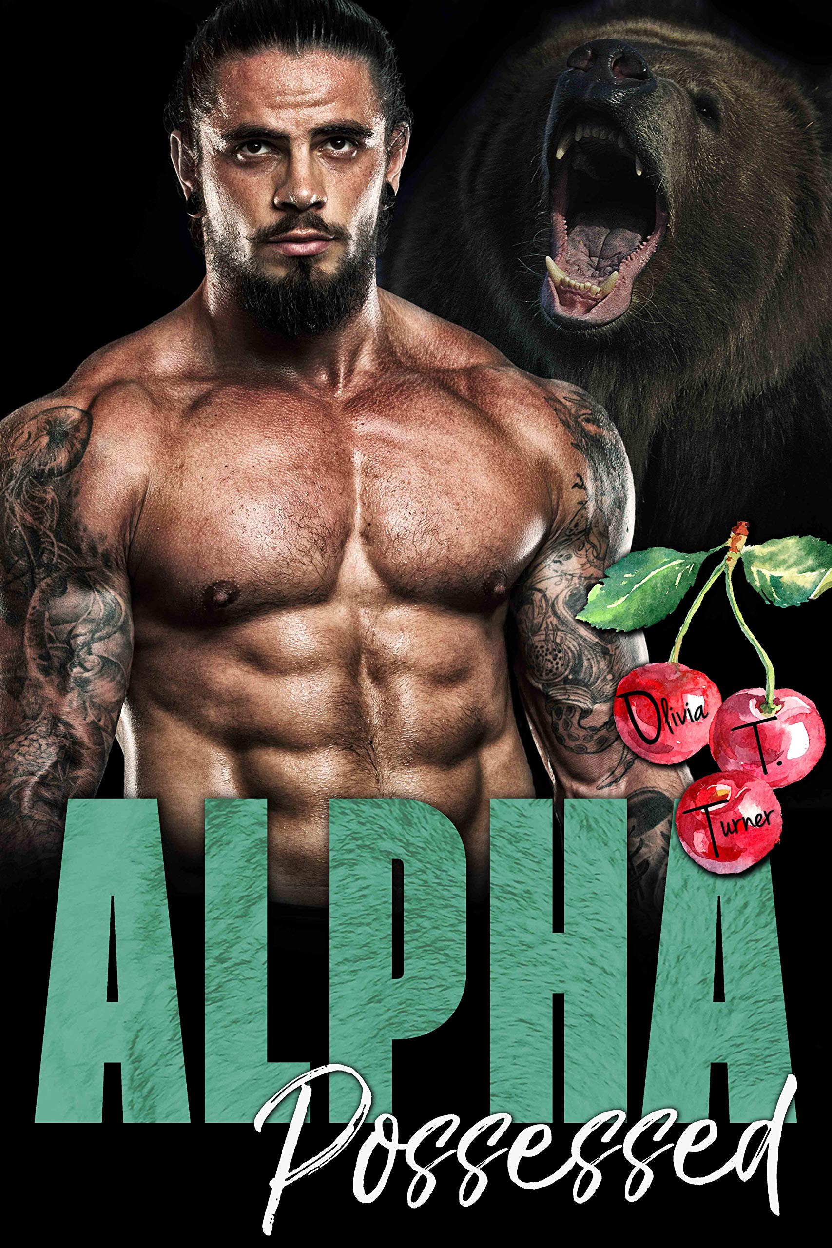 The Dixon Brothers book cover 1