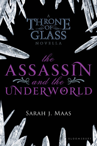 The Assassin and the Underworld book cover