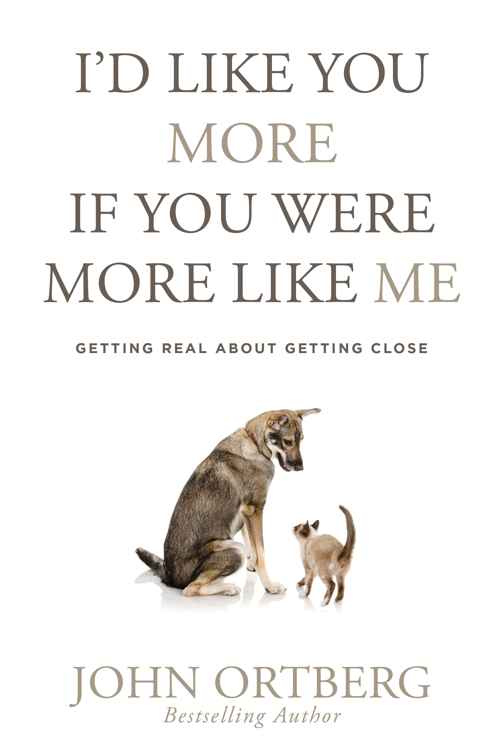 I'd Like You More If You Were More like Me book cover