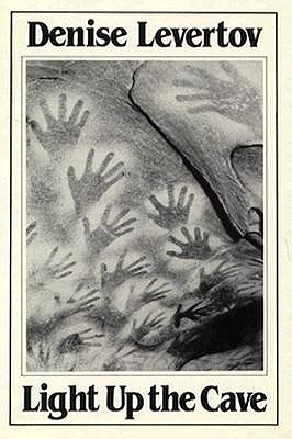 Light Up the Cave book cover