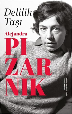Delilik Taşı book cover