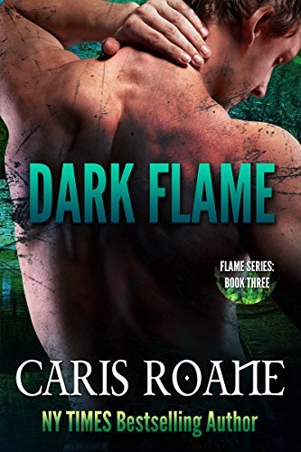 Flame book cover 3