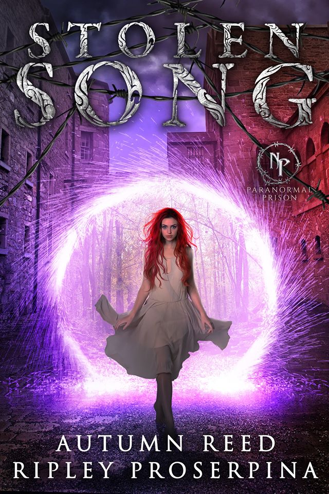 Stolen Song book cover