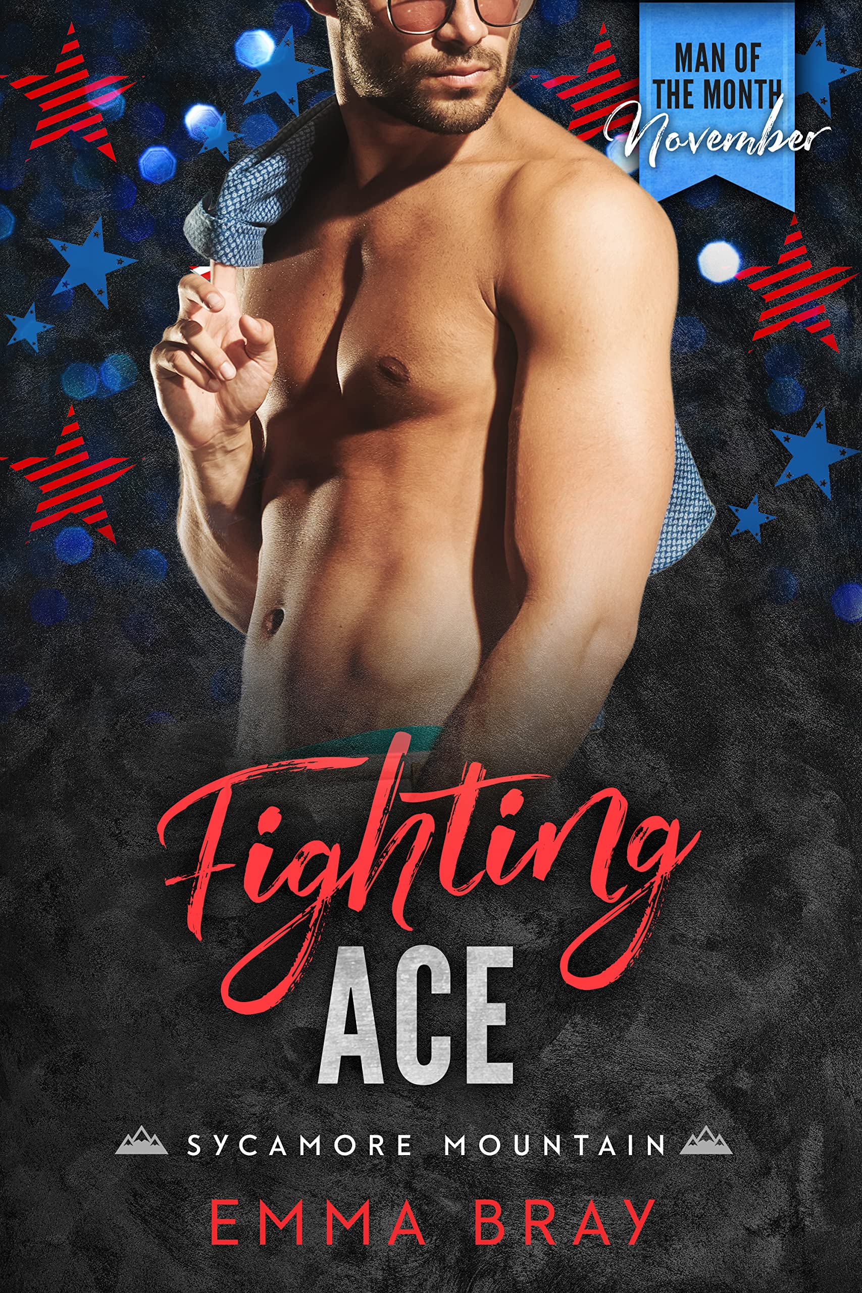 Fighting Ace book cover