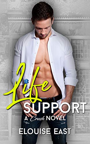 Life Support book cover