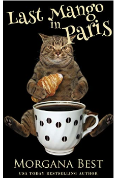 Last Mango in Paris book cover
