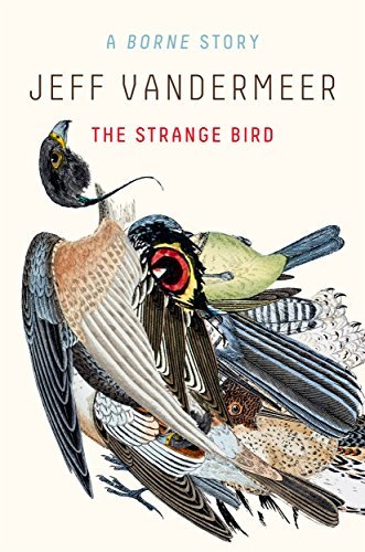 The Strange Bird book cover
