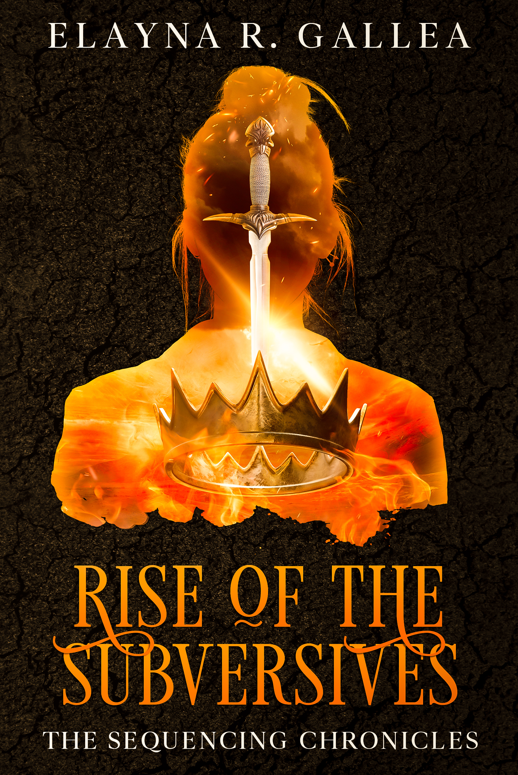 Rise of the Subversives book cover