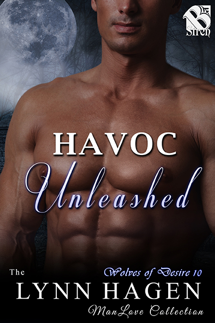 Havoc Unleashed book cover