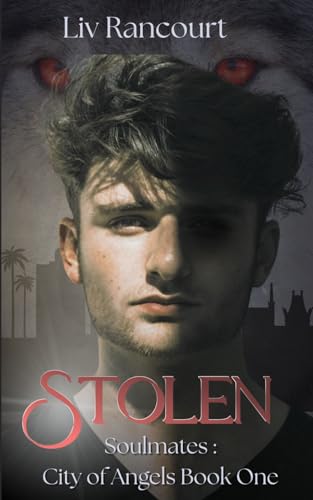 Stolen book cover
