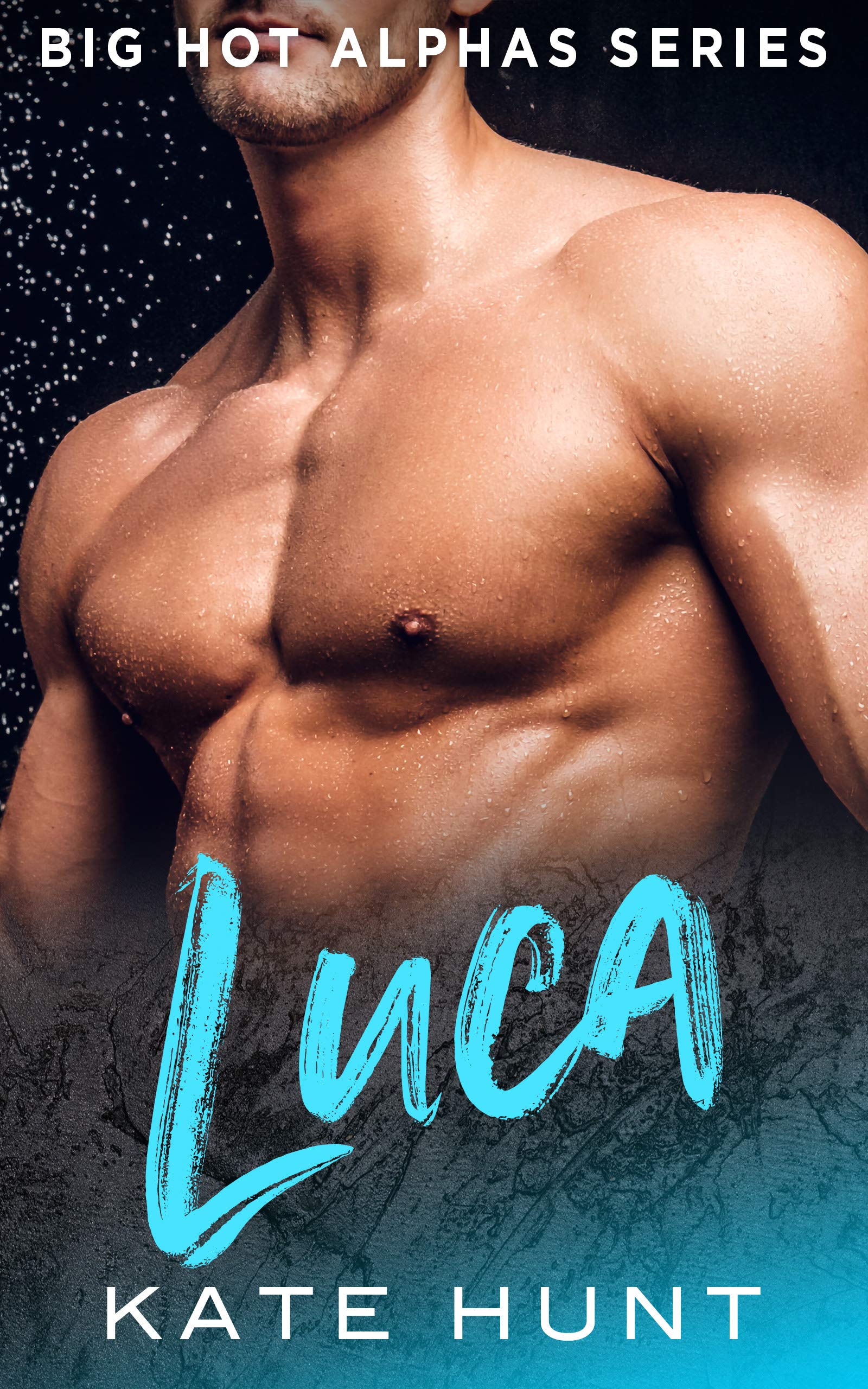 Big Hot Alphas book cover 3