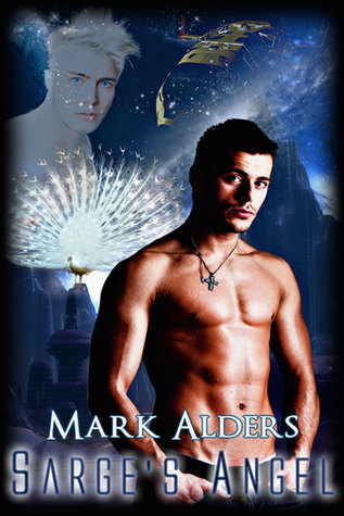 Schism Universe book cover 2
