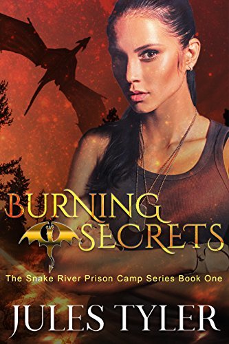 Burning Secrets book cover