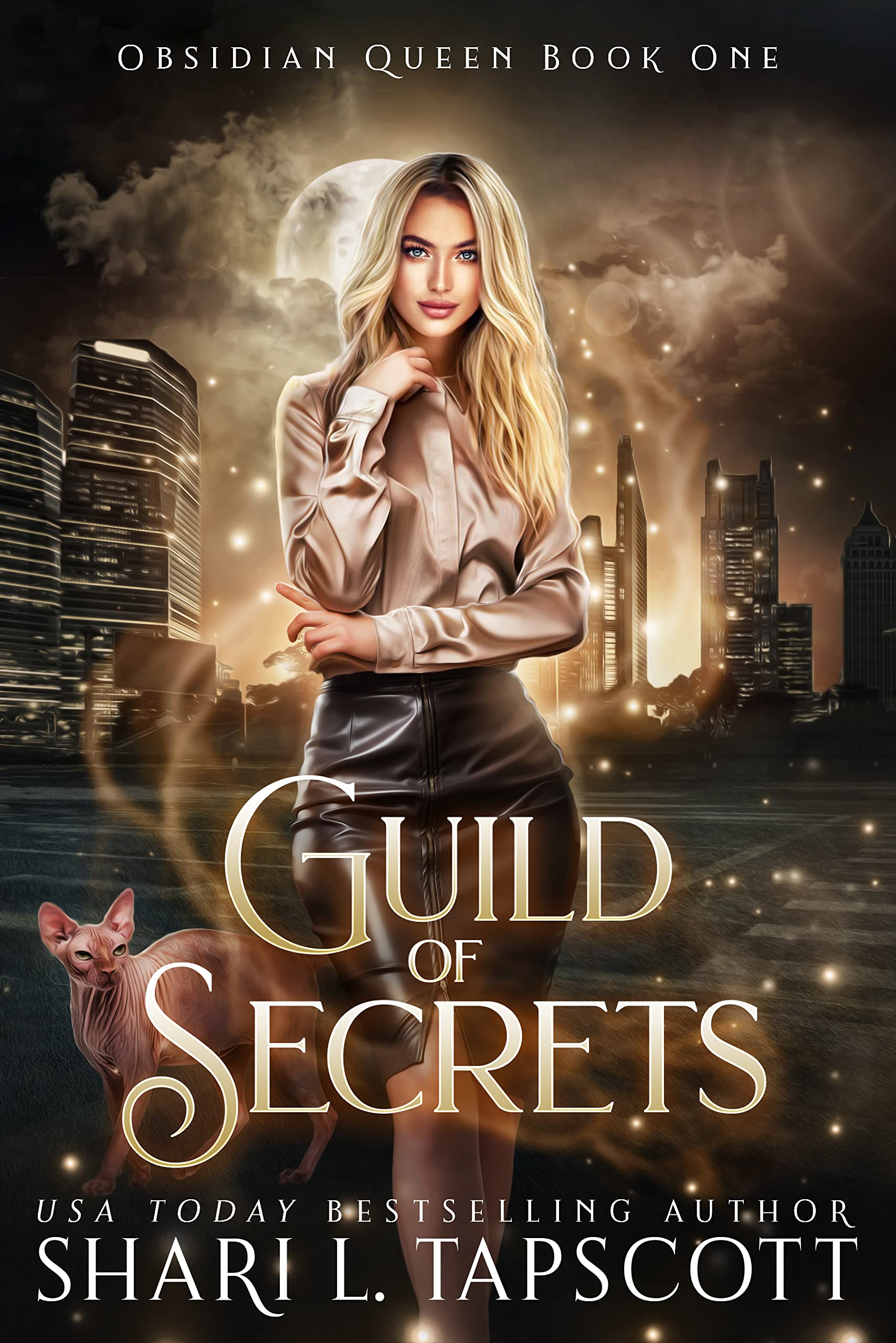 Obsidian Queen book cover 1