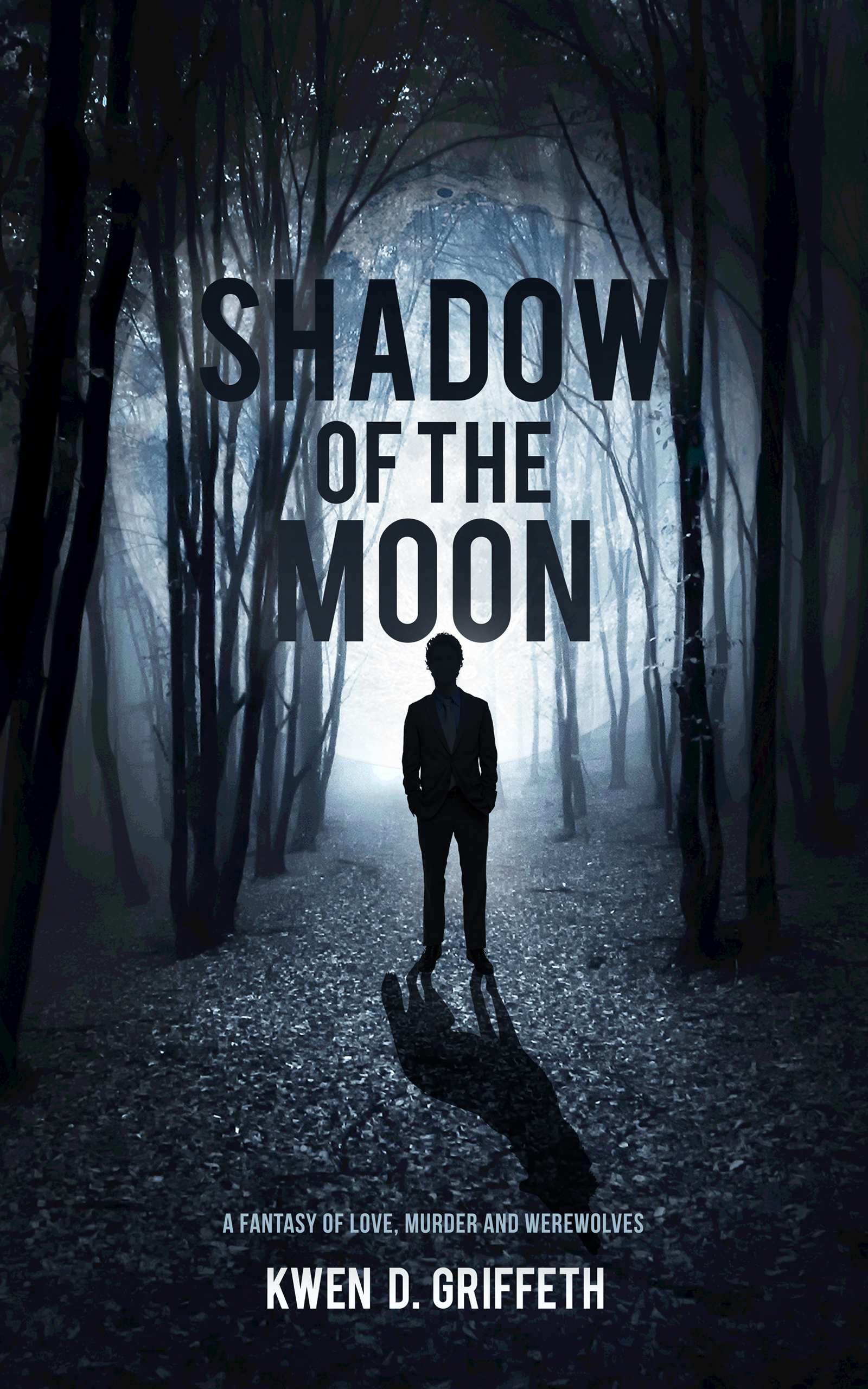 Shadow of the Moon book cover