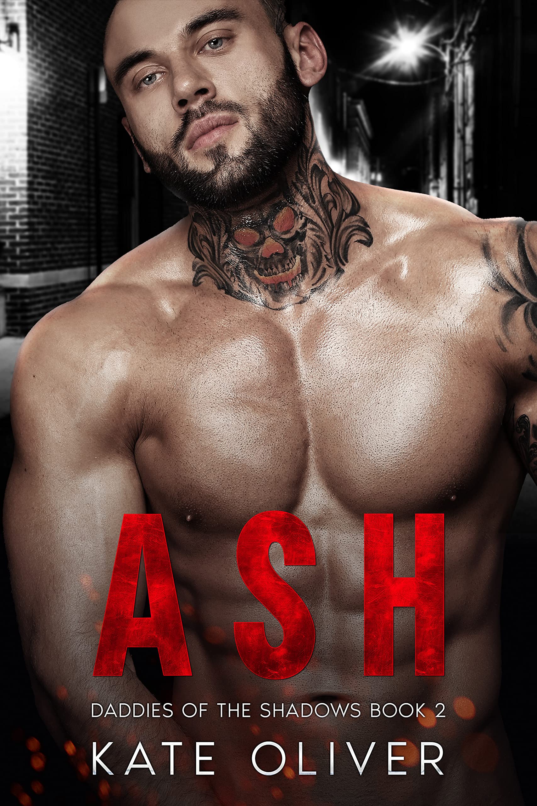 Daddies of the Shadows book cover 2