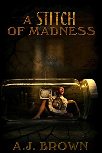 A Stitch of Madness book cover