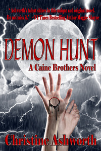 Caine Brothers book cover 2