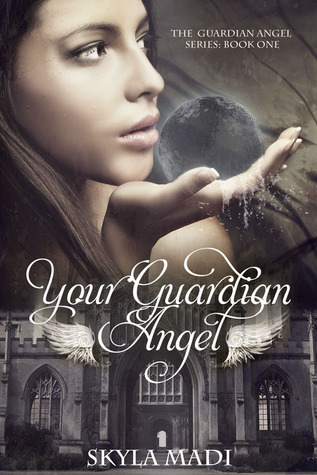 Guardian Angel book cover 1