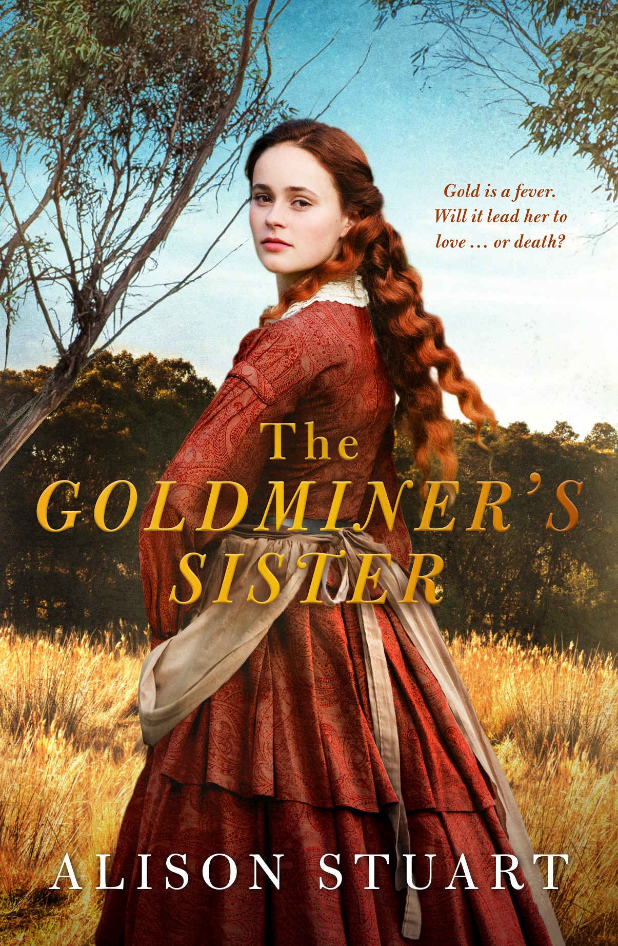 The Goldminer's Sister book cover