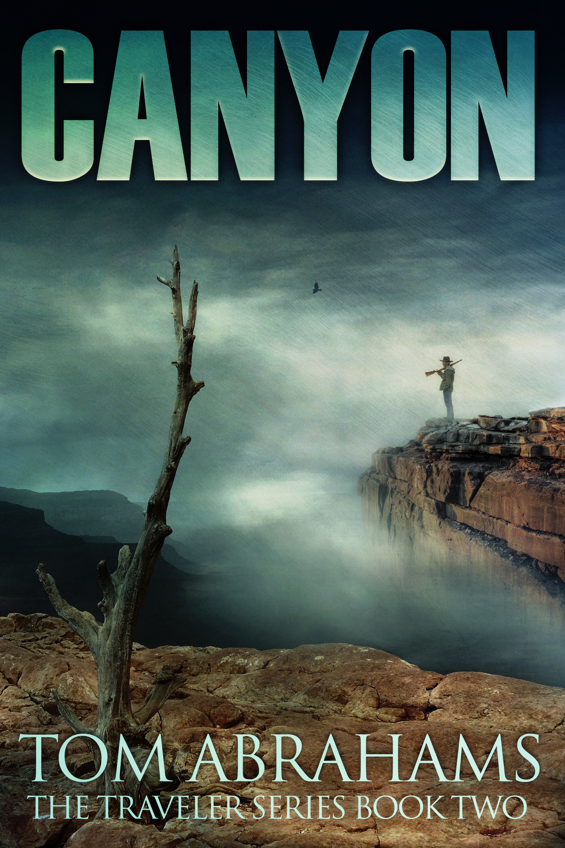 The Traveler book cover 2