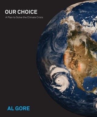 Our Choice book cover