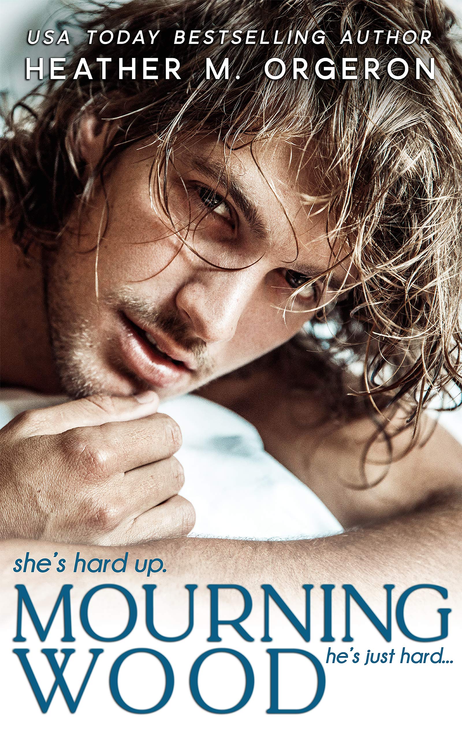 Mourning Wood book cover
