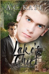 Jake's Thief book cover