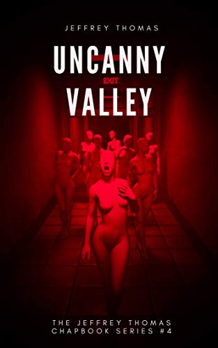 Uncanny Valley book cover