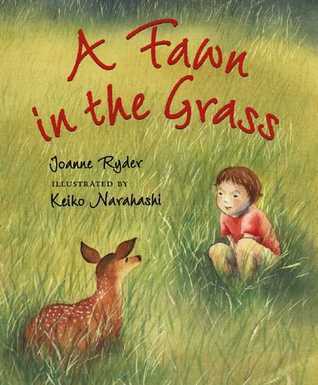 A Fawn in the Grass book cover