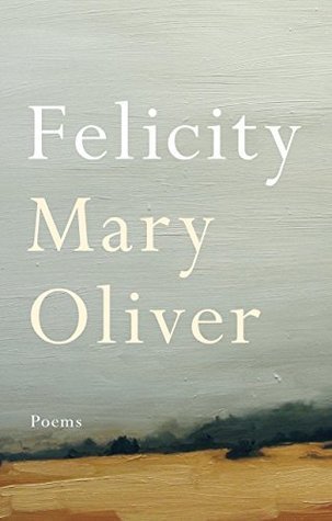 Felicity book cover