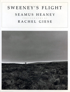Sweeney's Flight book cover