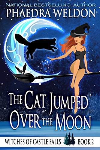 Witches of Castle Falls book cover 1