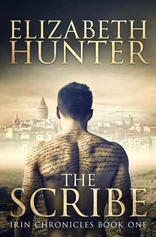 Irin Chronicles book cover 1